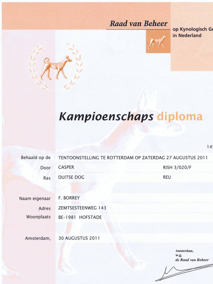 Diploma 2011